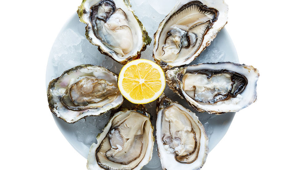 48 hours in Whitstable oysters